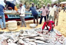 3 Fishermen arrested for fishing during closed season